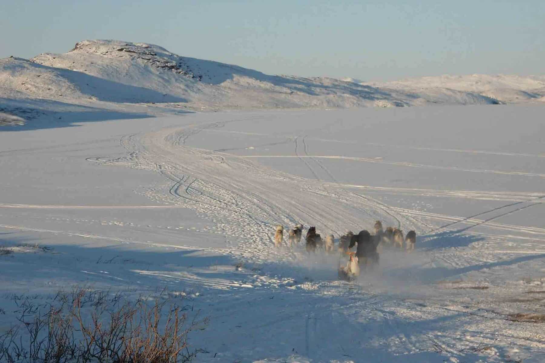Jagdreise-Grönland