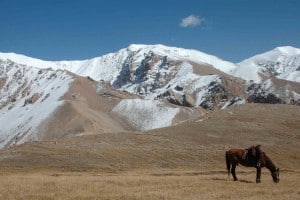 Jagdreise-Kasachstan