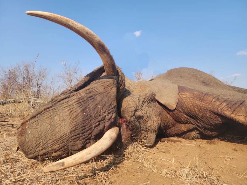 IMG-20250914-WA0001 - Kopie (2)