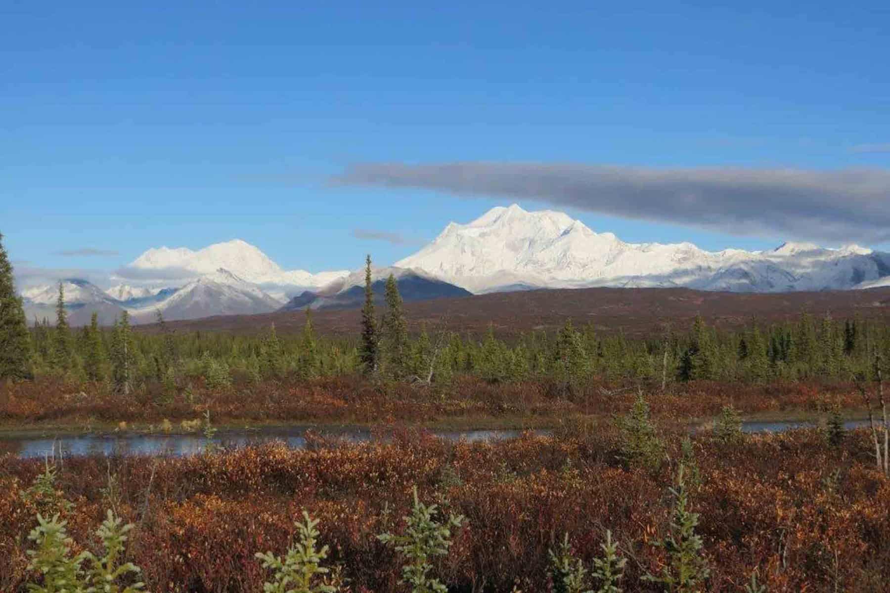 Jagdreise-Alaska