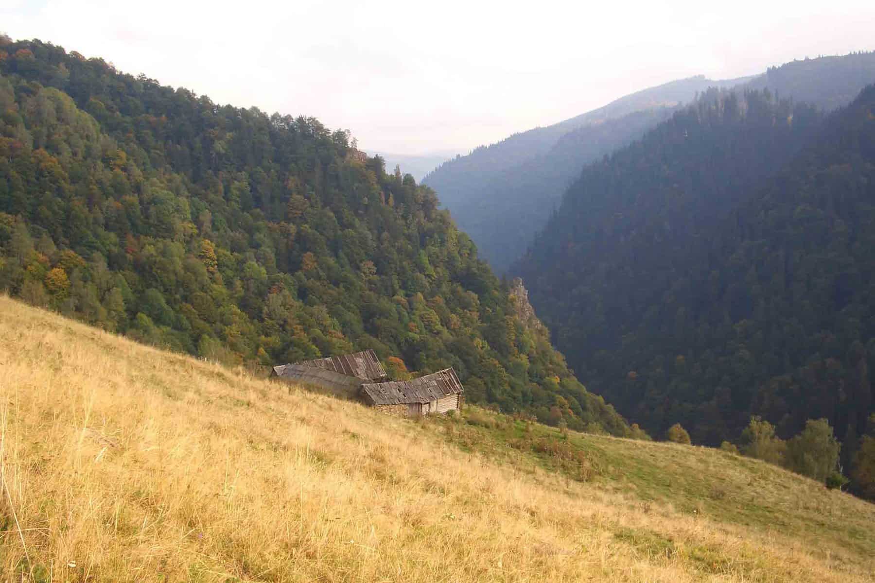 Jagdreise-Rumänien
