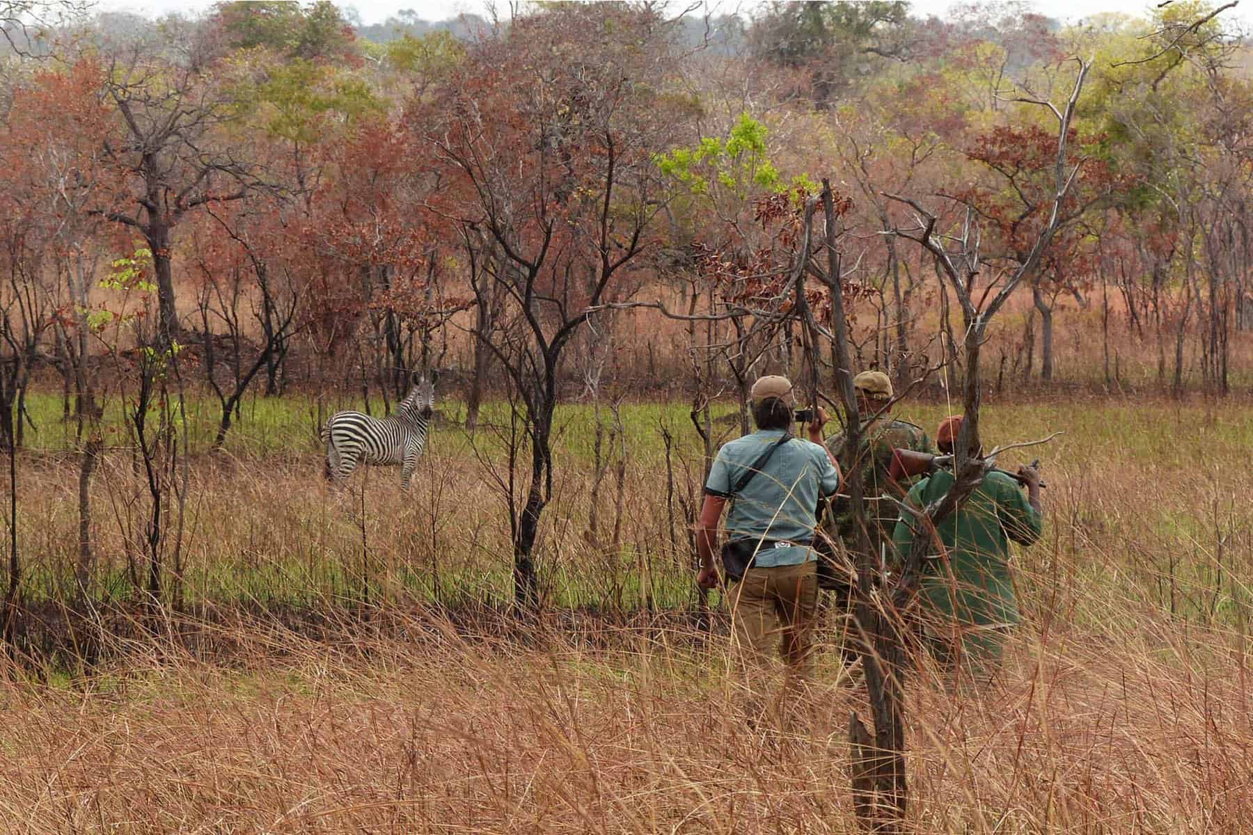 Jagdreise Tansania Profijagdreisen