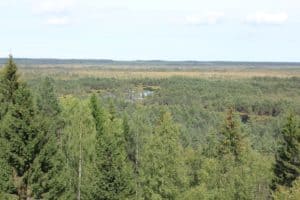 Landschaft Estland